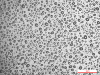 Draft Garcia 158989881-image18.png