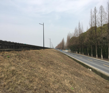 Review 537806263752-image1.png