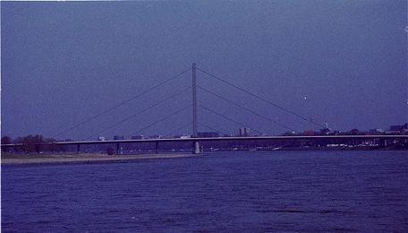 Draft Samper 391459592-image3.jpeg