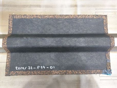 Sanchez et al 2018a-image13.jpeg