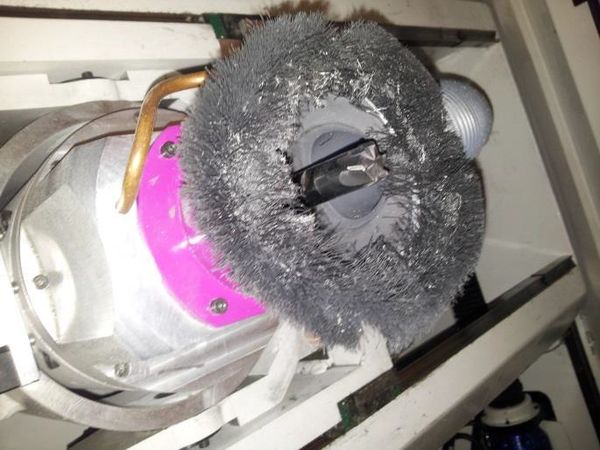 Galiana 2019a-image13.jpeg