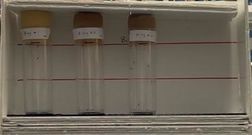 Draft Chen 477408004-image7-c.jpg