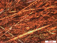 Draft Garcia 400677570-image9.jpeg