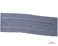 Draft Avila 364400906-image8.png