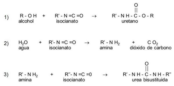 Palleiro et al 2018a-image5.jpeg