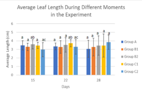 Review 855074334749-image17.png