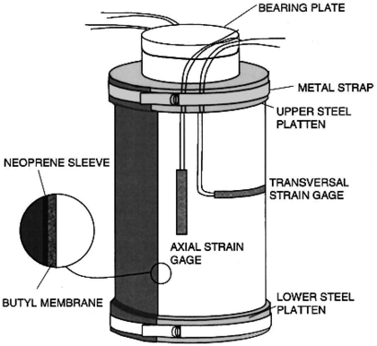 View of the testing device