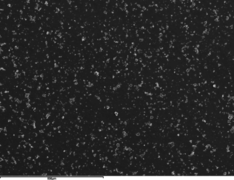 Muriel et al 2018a-image9.png