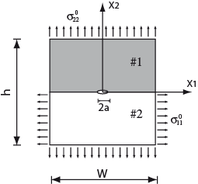 Draft بوزيان 803129046-image3.png