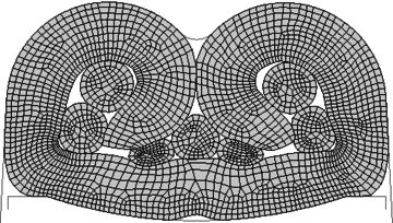 Forma final crimpada da simulação 2.