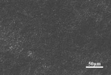 Draft Wang 506805600-image15.jpeg