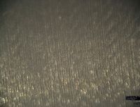 Review 895193022210-image18.jpeg