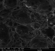 Serrano et al 2018a-image19.png