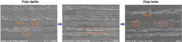 Draft Gutierrez Lorente 931733539-image6.png