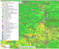 Draft Kuchinow 517985359-image9-c.png