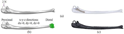 Review 392361619556-image11.jpeg