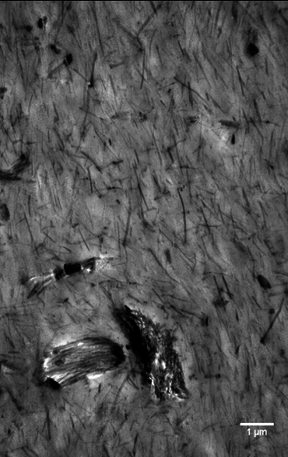 Herrero et al 2019b-image5.png