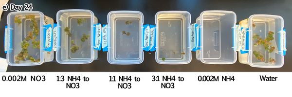 Draft Zhang 868588273-image24.jpeg