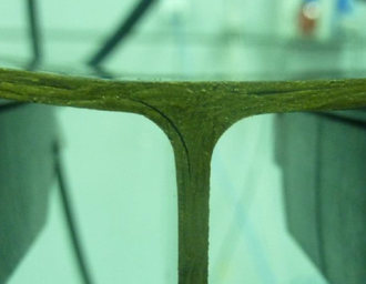 Cerrato et al 2018a-image24.png