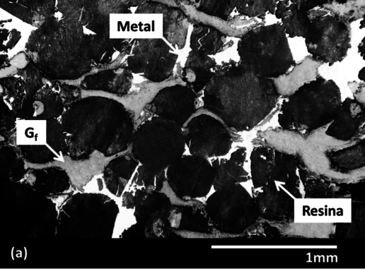Maiorano Molina 2018a-image11.png