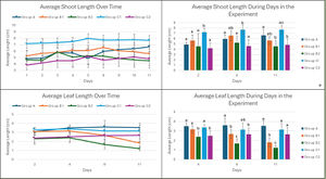 Review 855074334749-image19-c.jpg