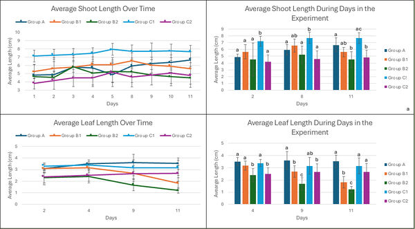 Review 855074334749-image19-c.jpg