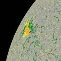 Draft Shakaraliyeva 998387753-image31.jpeg