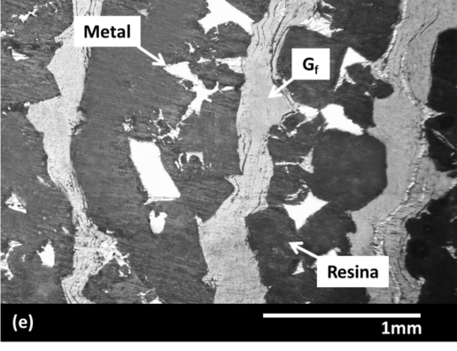 Maiorano Molina 2018a-image15.png