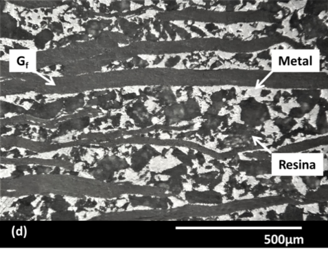 Maiorano Molina 2018a-image14.png
