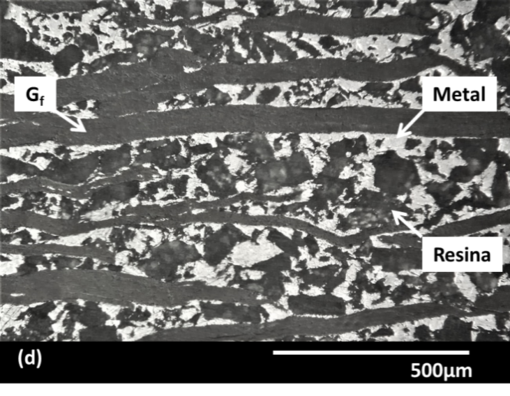 Maiorano Molina 2018a-image14.png