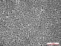 Review 950121520459-image8.jpeg