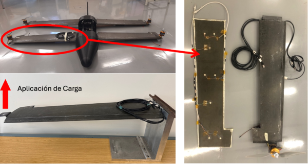 Draft Sese 356747702-image4.png