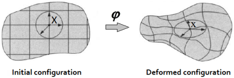 Motion description using a Lagrangian mesh