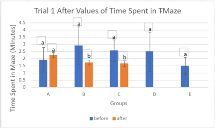 Draft Lin 338454679-image8-c.png