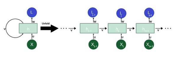 Draft Petrizzo 212857447-image1.jpeg