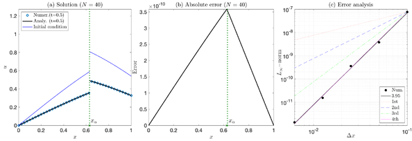 Numerical results at final time simulation T=0.5 and x_α=0.63 of Example 5.