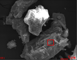 Draft Zhang 802789926-image3.png