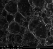 Serrano et al 2018a-image18.png