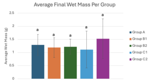 Draft Melika 433147401-image11-c.png