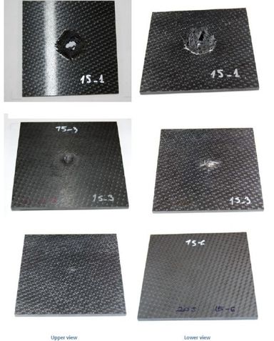 Riera et al 2017a-image5-c.jpeg