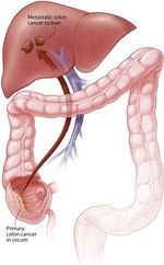 Draft Samper 627449012-image2.jpeg