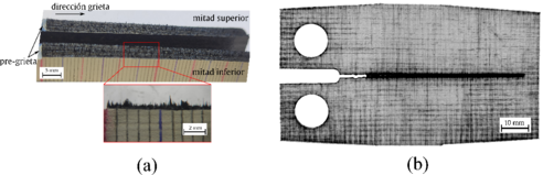 Draft Fernandez 764758894-image5.png