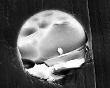 Gondra et al 2018a-image9.png