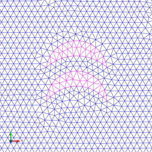 Mesh at initial stage.