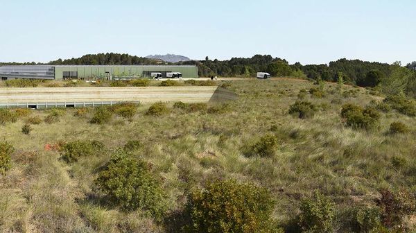 Draft Sanchez Pinedo 742635054-image57.jpeg